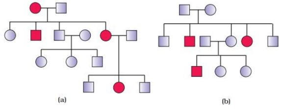 Solution diagram