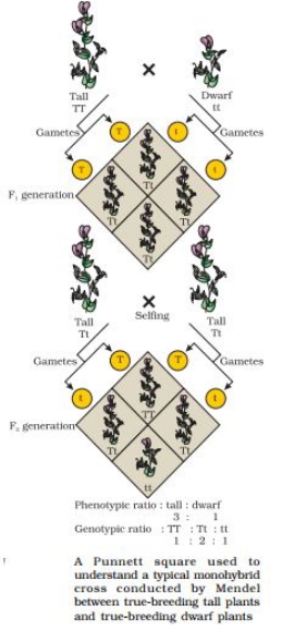 Solution diagram