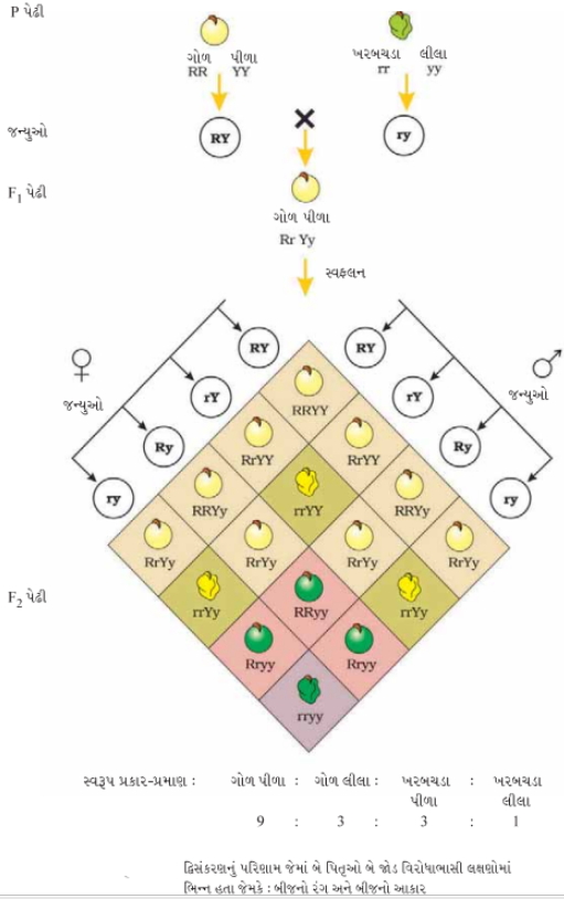Solution diagram