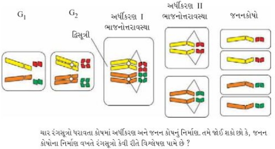 Solution diagram