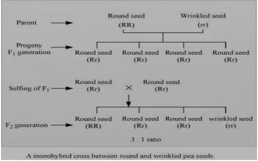 Solution diagram
