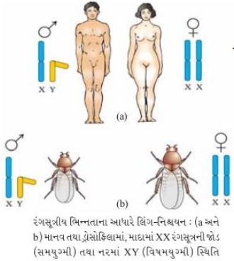 Solution diagram