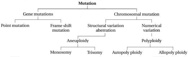 Solution diagram
