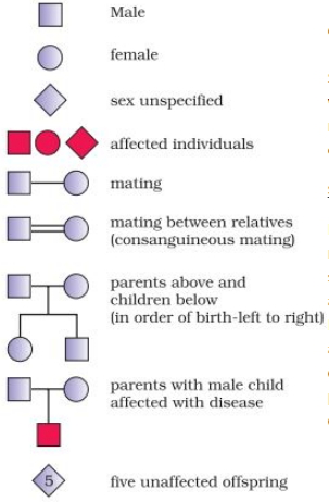 Solution diagram