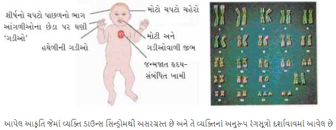 Solution diagram