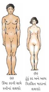 Solution diagram