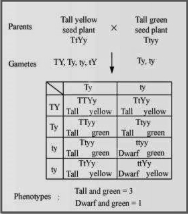 Solution diagram