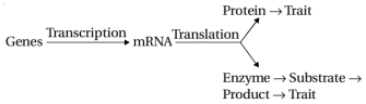 Solution diagram