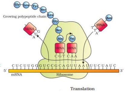 Solution diagram