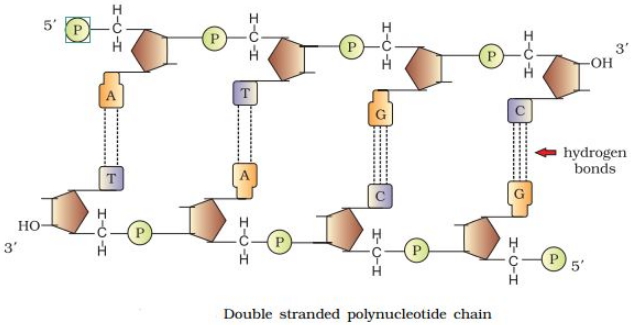 Solution diagram