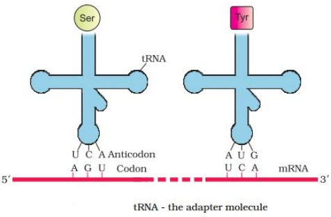 Solution diagram