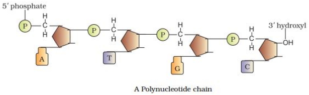 Solution diagram