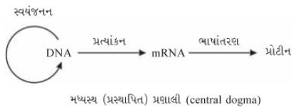 Solution diagram