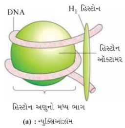 Solution diagram