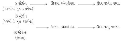 Solution diagram