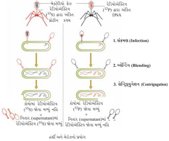 Solution diagram