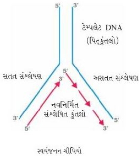 Solution diagram