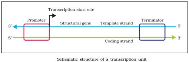Solution diagram