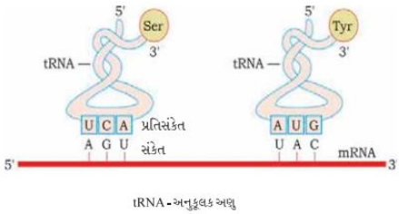 Solution diagram