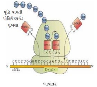 Solution diagram