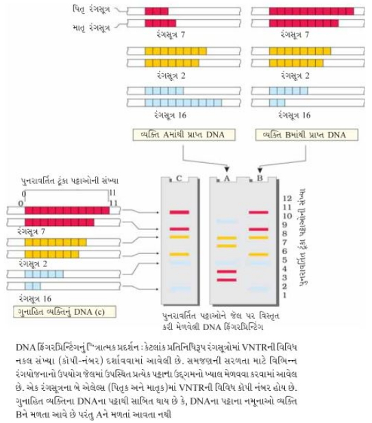 Solution diagram