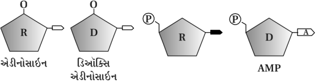 Solution diagram