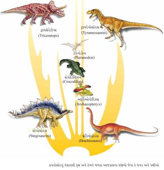 Solution diagram