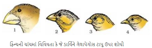 Solution diagram
