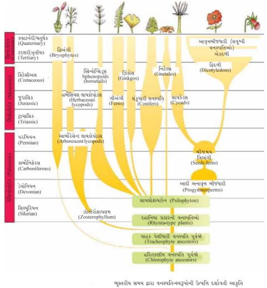 Solution diagram