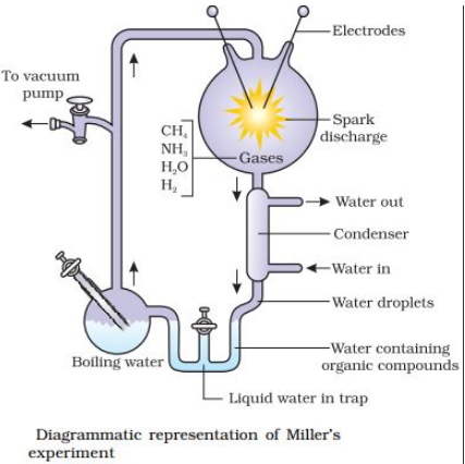 Solution diagram