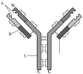 Question diagram
