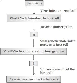 Question diagram