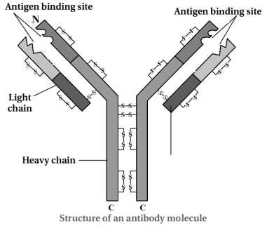Question diagram