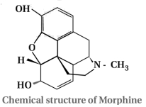 Solution diagram