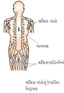 Solution diagram
