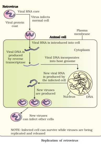 Solution diagram