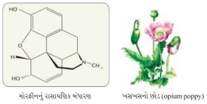 Solution diagram