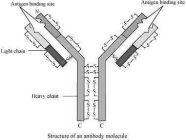 Solution diagram
