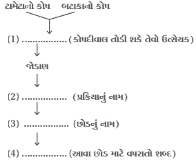 Question diagram