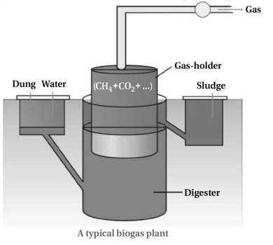 Solution diagram
