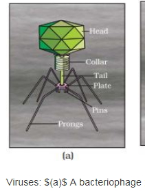 Solution diagram