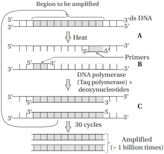 Question diagram