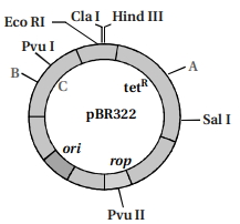 Question diagram