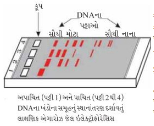 Solution diagram