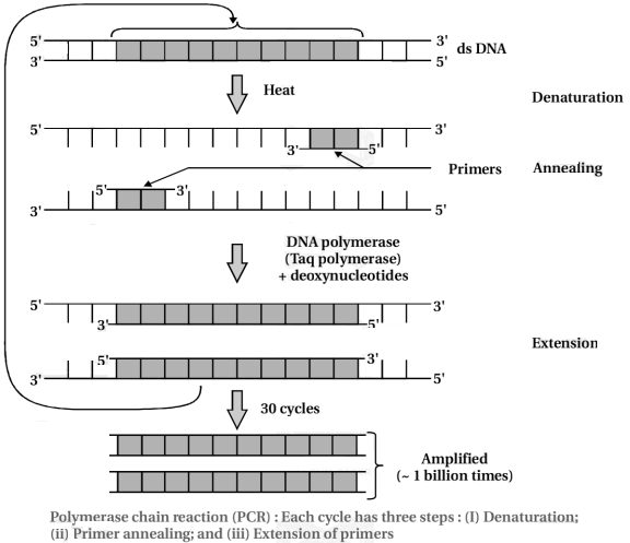 Solution diagram