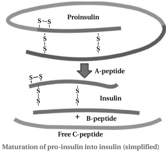 Solution diagram
