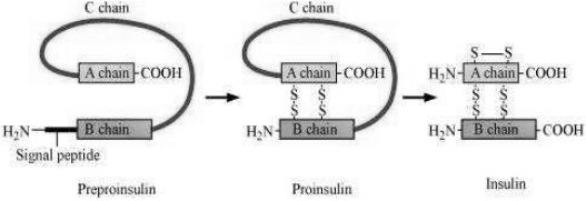 Solution diagram