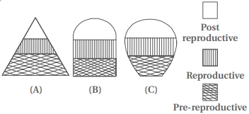 Question diagram