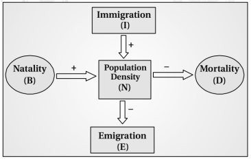 Solution diagram
