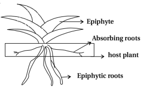Solution diagram